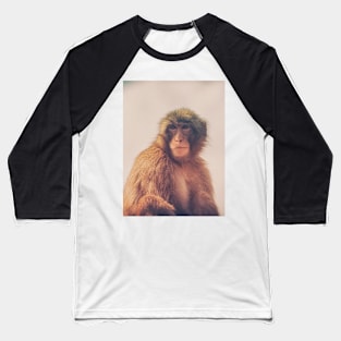 APE II Baseball T-Shirt